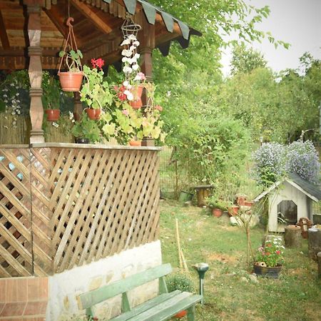 Casa Smeilor โฮเรซู ภายนอก รูปภาพ