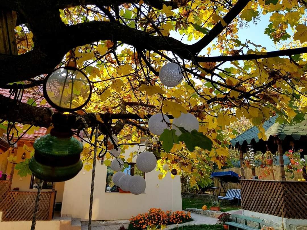Casa Smeilor โฮเรซู ภายนอก รูปภาพ