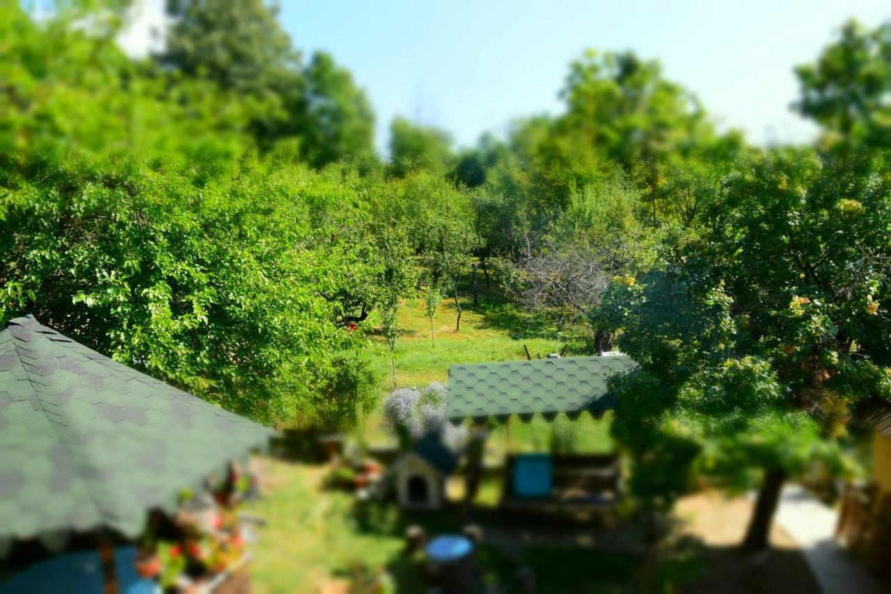 Casa Smeilor โฮเรซู ห้อง รูปภาพ